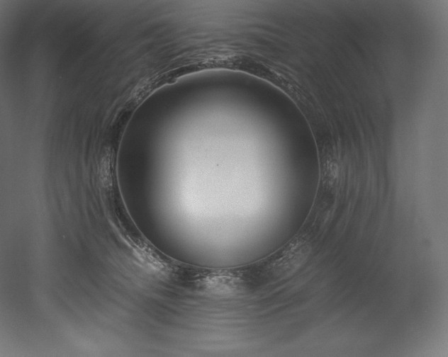 X0000052650468200507011417