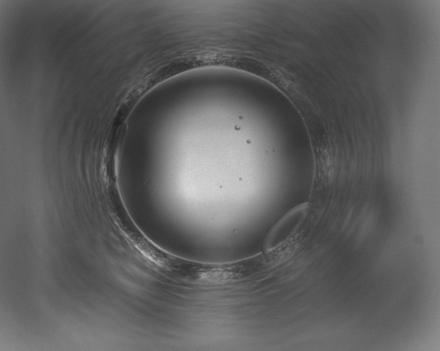 X0000052650470200507011417