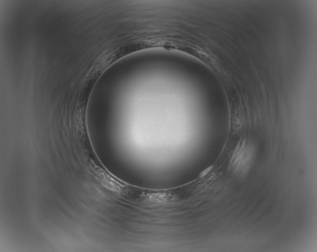 X0000052650473200507011417