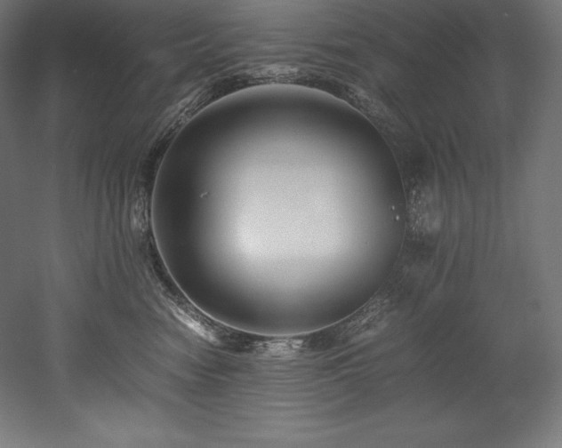 X0000052650474200507011417