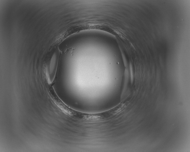 X0000052650476200507011417