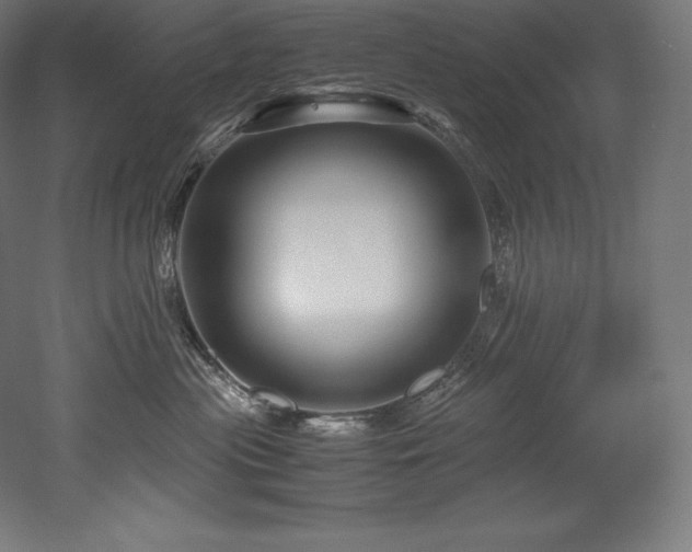X0000052650477200507011417