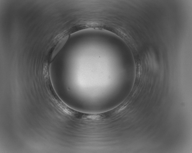 X0000052650478200507011417