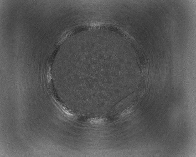 X0000052650479200507011417