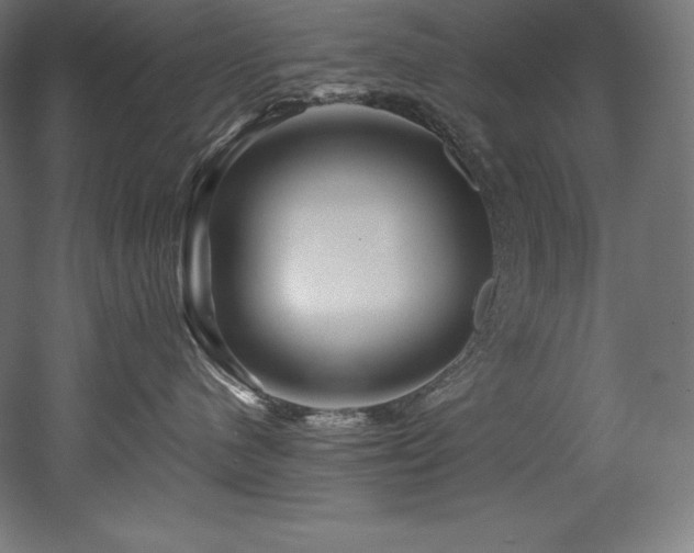X0000052650480200507011417