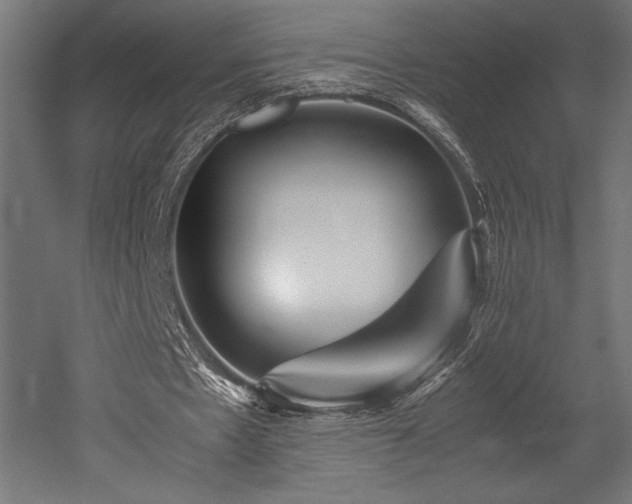X0000052650481200507011416