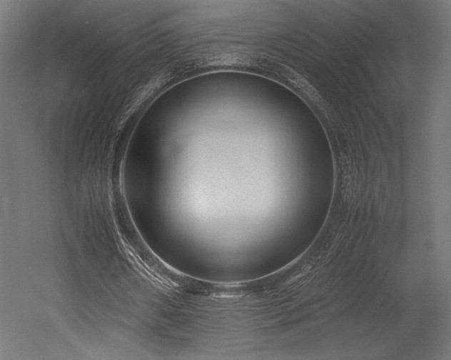 X0000052650482200507011416