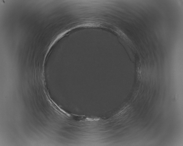 X0000052650484200507011416