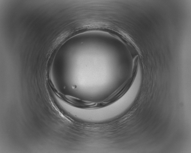 X0000052650485200507011416