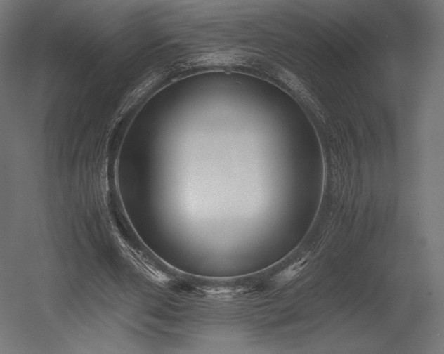 X0000052650486200507011416
