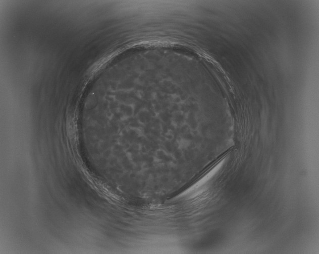 X0000052650487200507011416