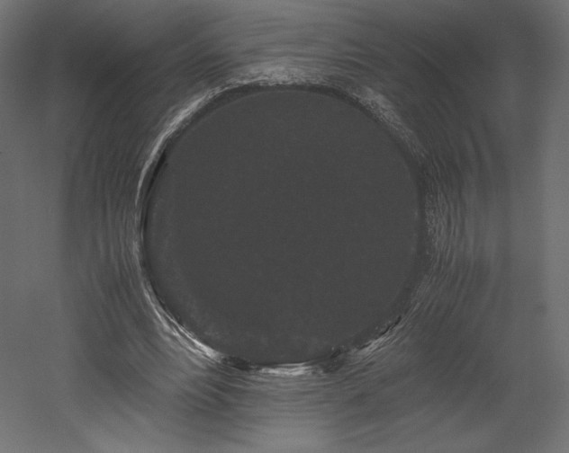 X0000052650488200507011416