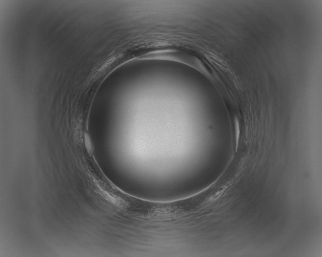 X0000052650489200507011416
