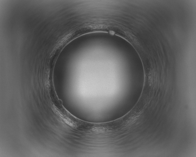 X0000052650490200507011416