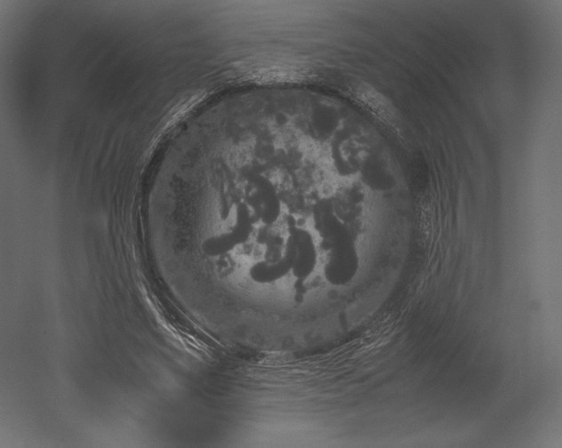 X0000052650491200507011416
