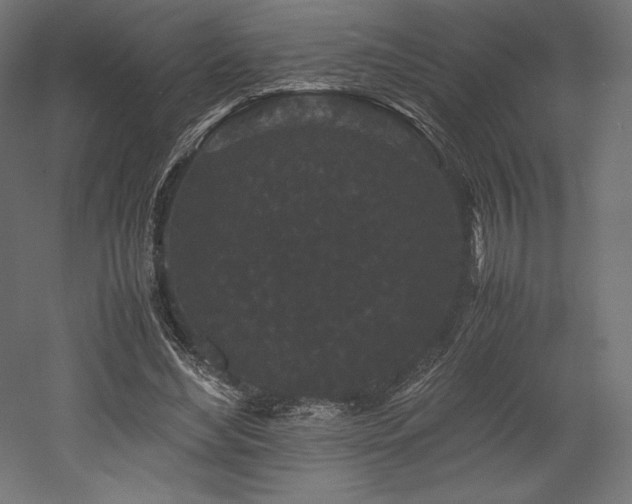 X0000052650492200507011416
