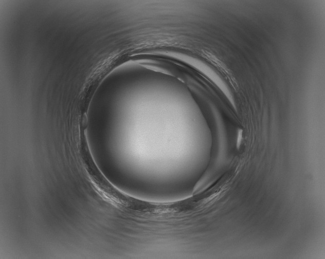 X0000052650493200507011416