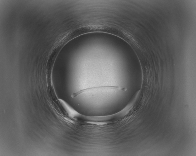 X0000052650494200507011416