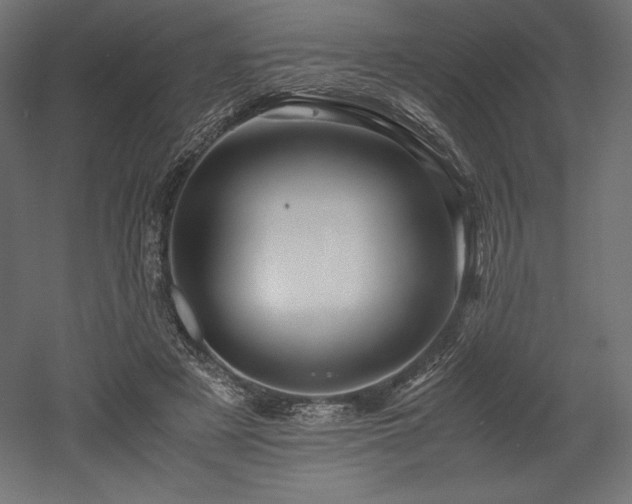 X0000052650497200507011416