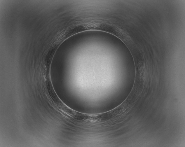 X0000052650498200507011416