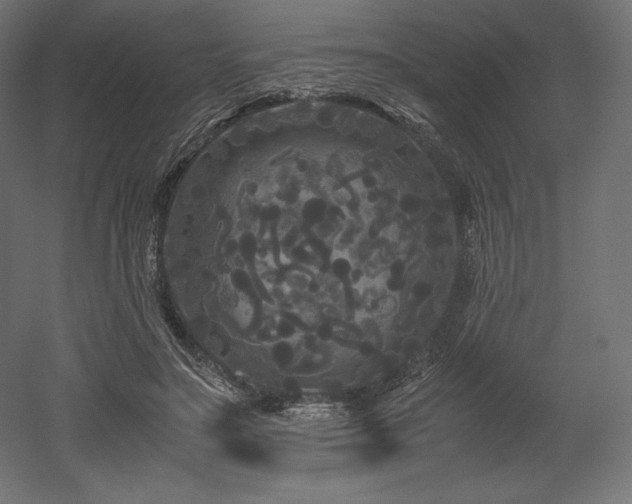 X0000052650499200507011416