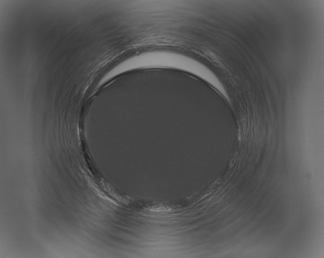 X0000052650500200507011416
