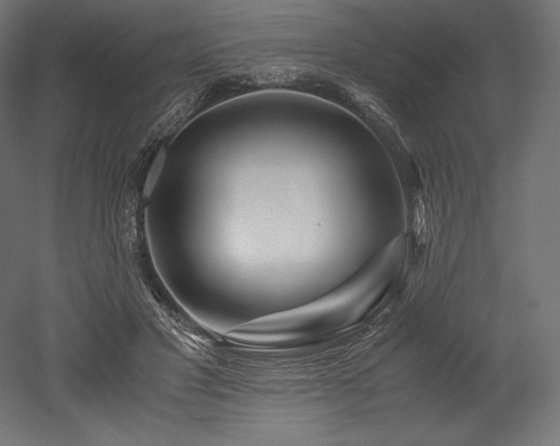 X0000052650501200507011416