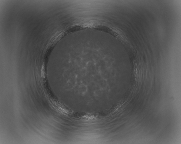 X0000052650502200507011416