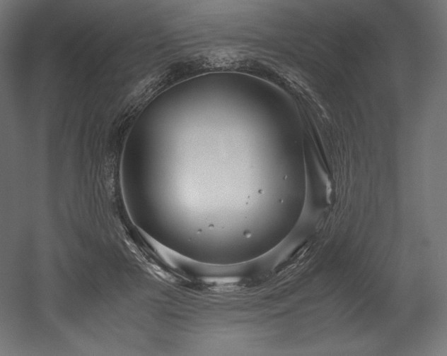 X0000052650505200507011416