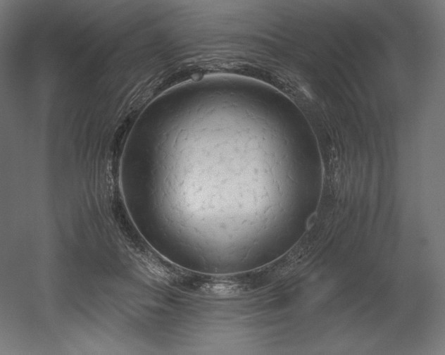 X0000052650506200507011416