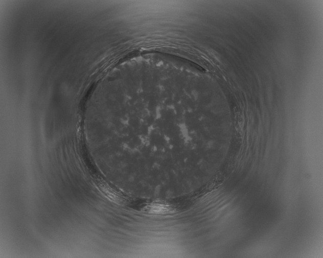 X0000052650507200507011416