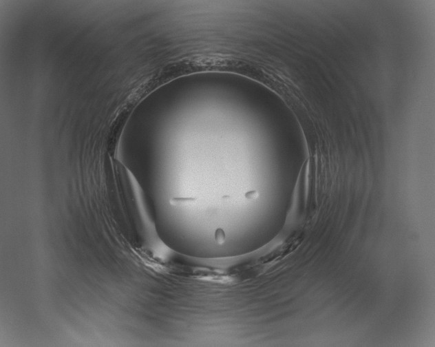 X0000052650508200507011416