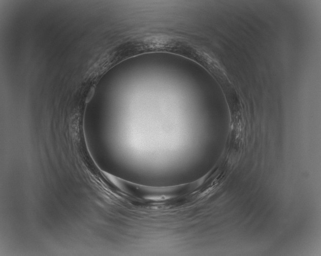 X0000052650509200507011416