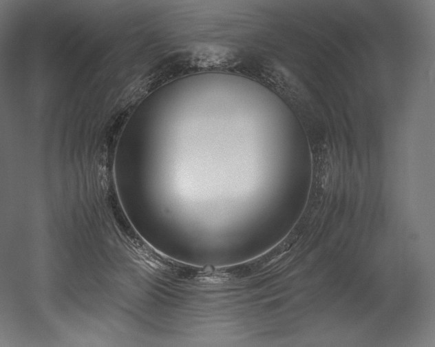 X0000052650510200507011416