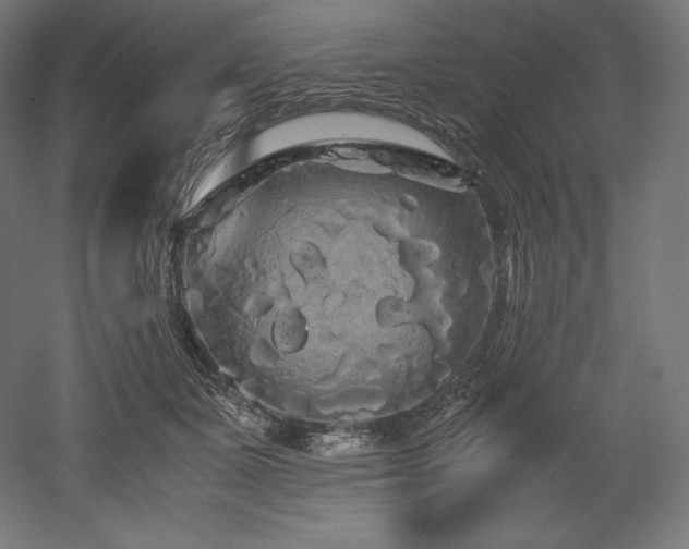 X0000052650511200507011416
