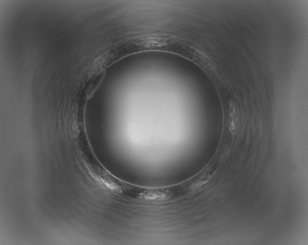 X0000052650512200507011416