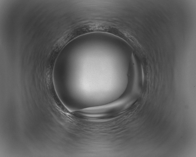 X0000052650513200507011416