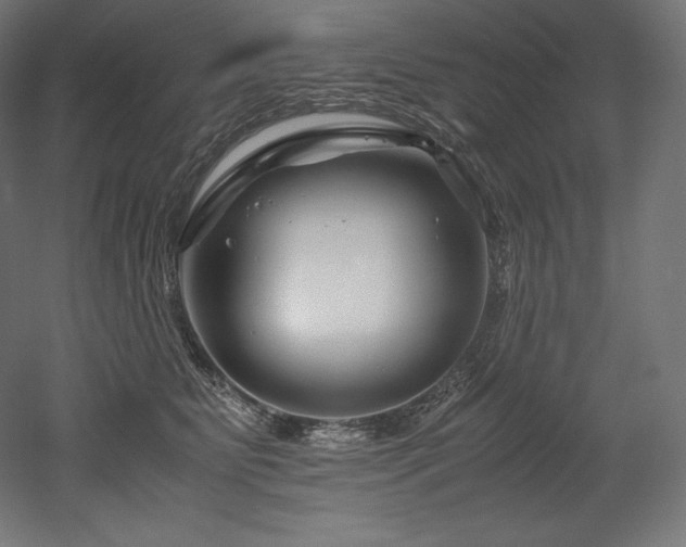X0000052650515200507011416