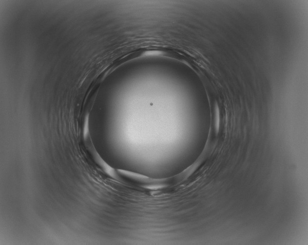 X0000052650516200507011416