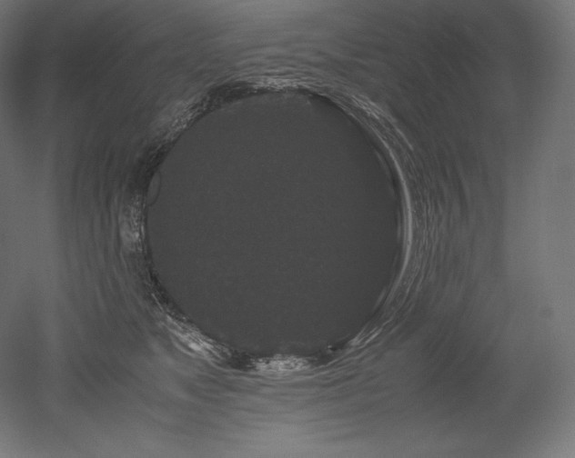 X0000052650517200507011416