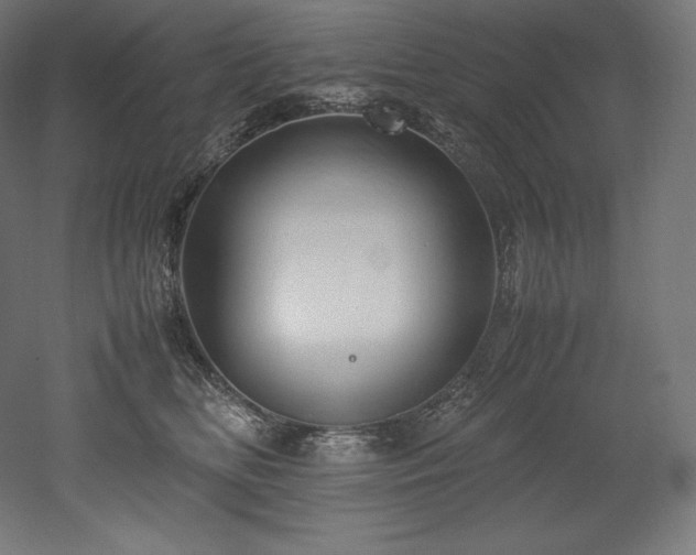 X0000052650518200507011416