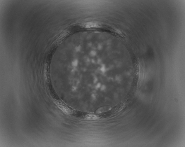 X0000052650519200507011416