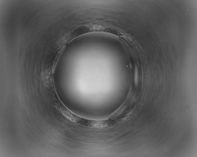X0000052650521200507011416