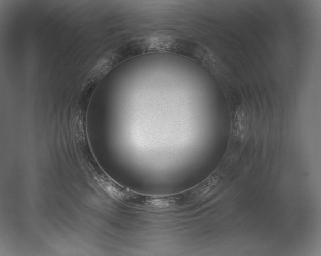 X0000052650522200507011416