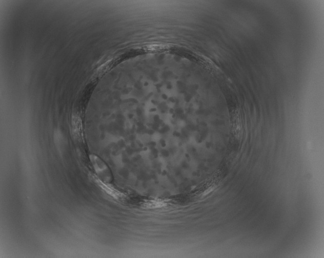 X0000052650523200507011416