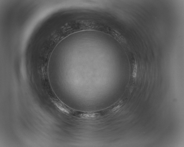 X0000052650524200507011416