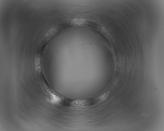 X0000052650526200507011416