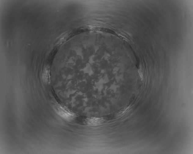 X0000052650527200507011416