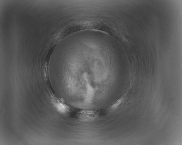 X0000052650528200507011416
