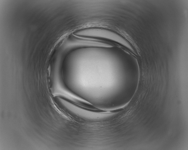 X0000052650530200507011415